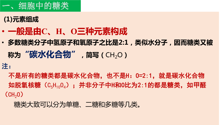 2.3细胞中的糖类和脂质课件(共21张PPT) 生物人教版必修1