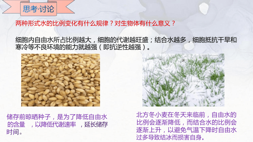 2.2 细胞中的无机物(共14张PPT)-高一生物学（人教版2019必修1）