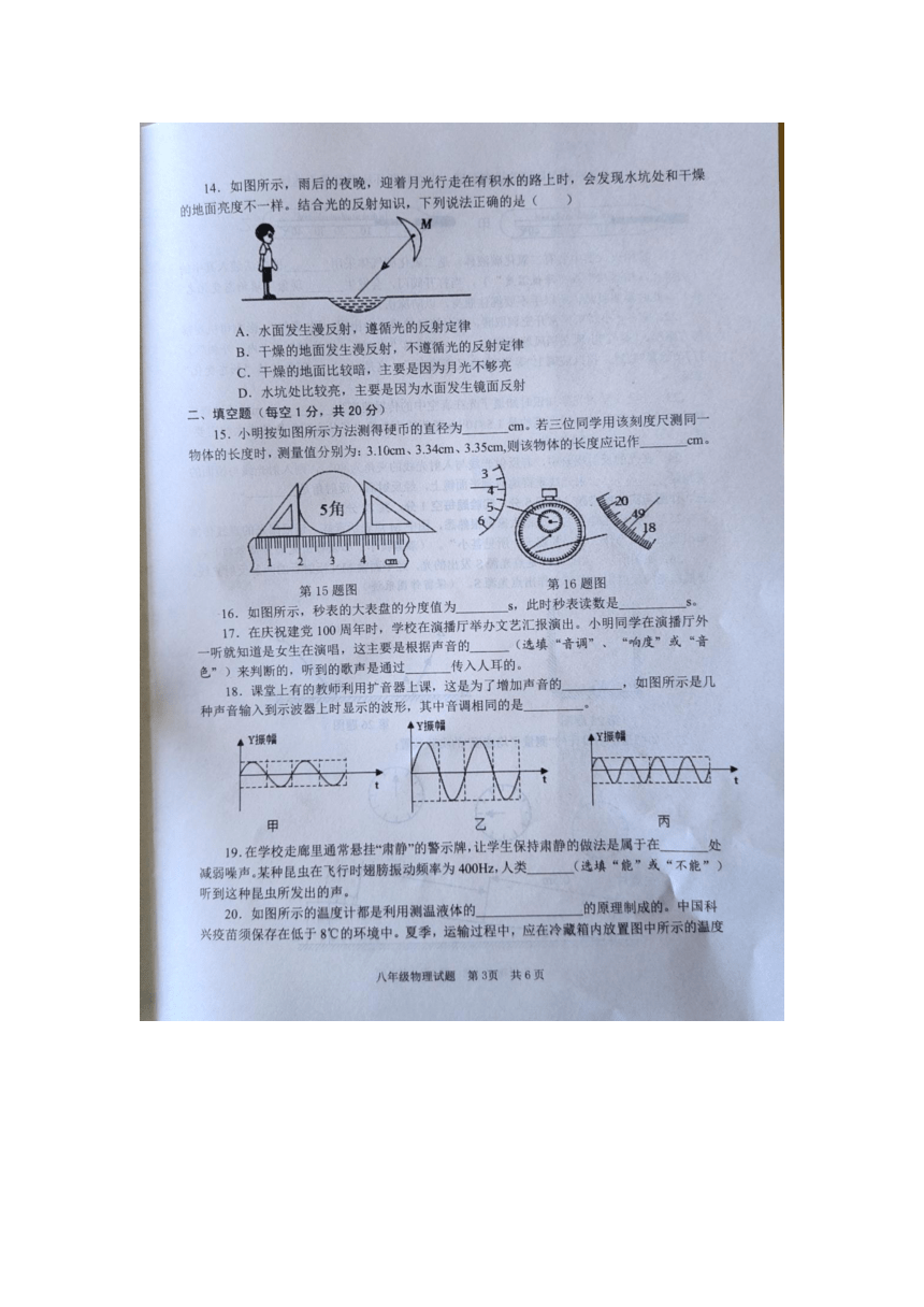 山东省枣庄市薛城区2023-2024学年八年级上学期物理期中试题（图片版 含答案）