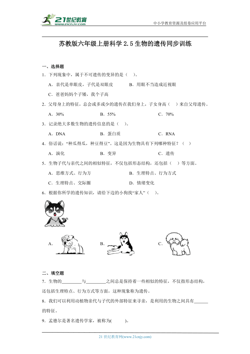 苏教版六年级上册科学2.5 生物的遗传 同步训练（含答案）