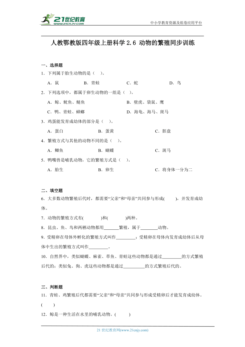 人教鄂教版四年级上册科学2.6 动物的繁殖 同步训练（含答案）