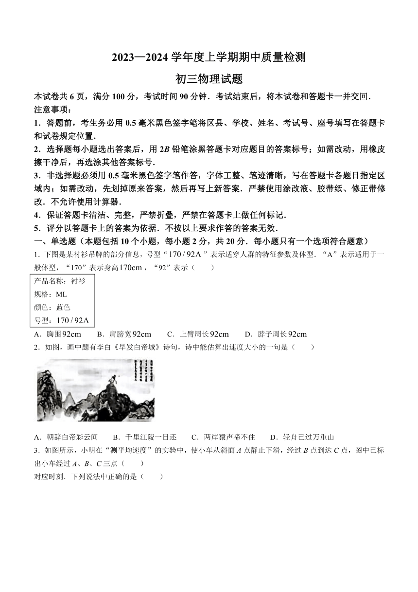 山东省淄博市临淄区2023-2024学年八年级上学期11月期中物理试题（含答案）