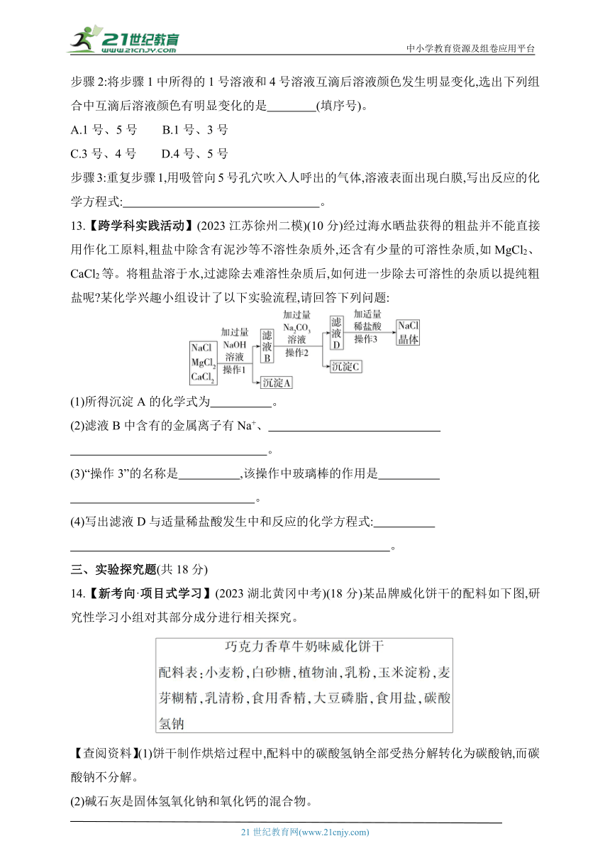 2024沪教版化学九年级下学期课时练--第7章 素养综合检测