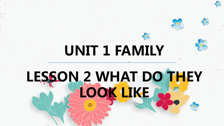 Unit 1  Lesson 2 What Do They Look Like?课件(第二课时) (共18张PPT)