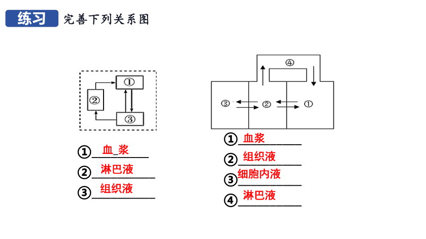 选择性必修一复习（第1、2章）课件(共69张PPT)