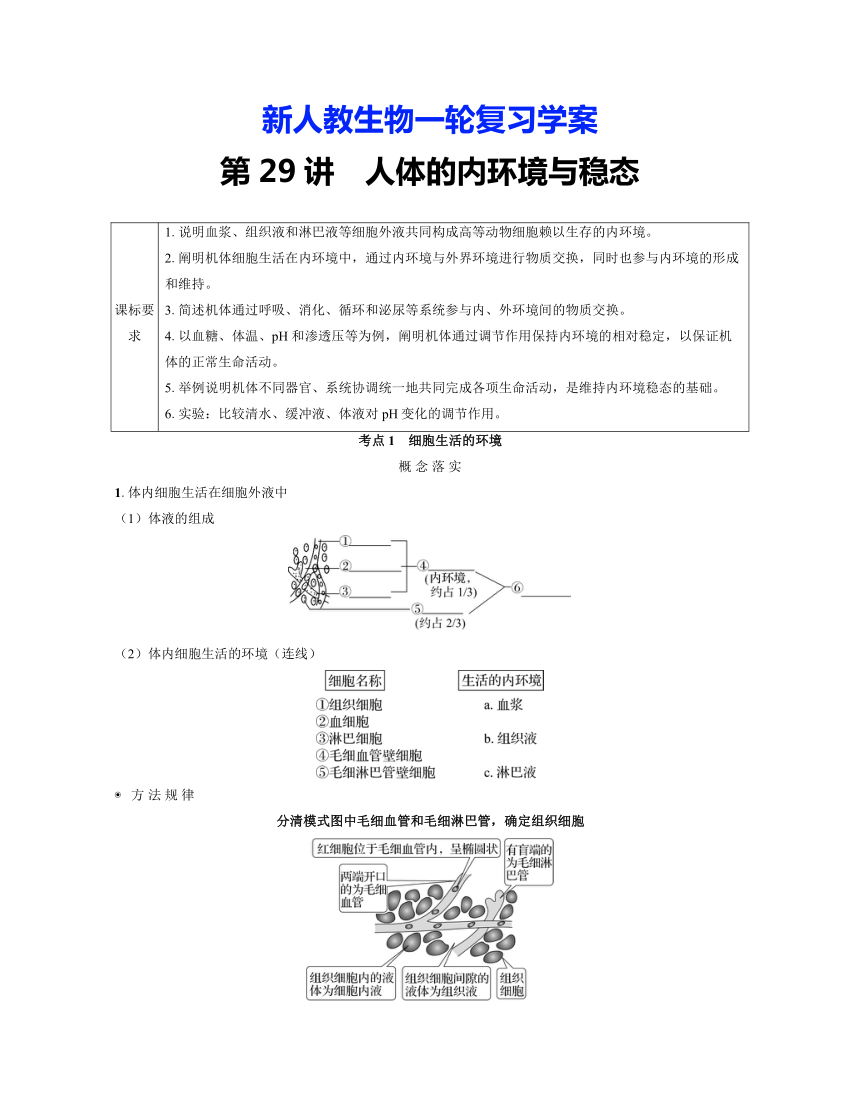 新人教生物一轮复习学案：第29讲　人体的内环境与稳态（含答案解析）