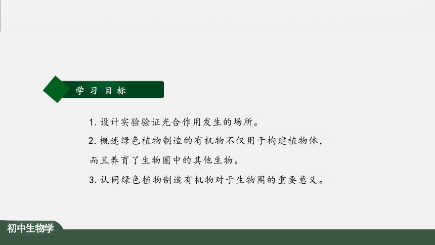 3.4 绿色植物是生物圈中有机物制造者 课件（共25张PPT）