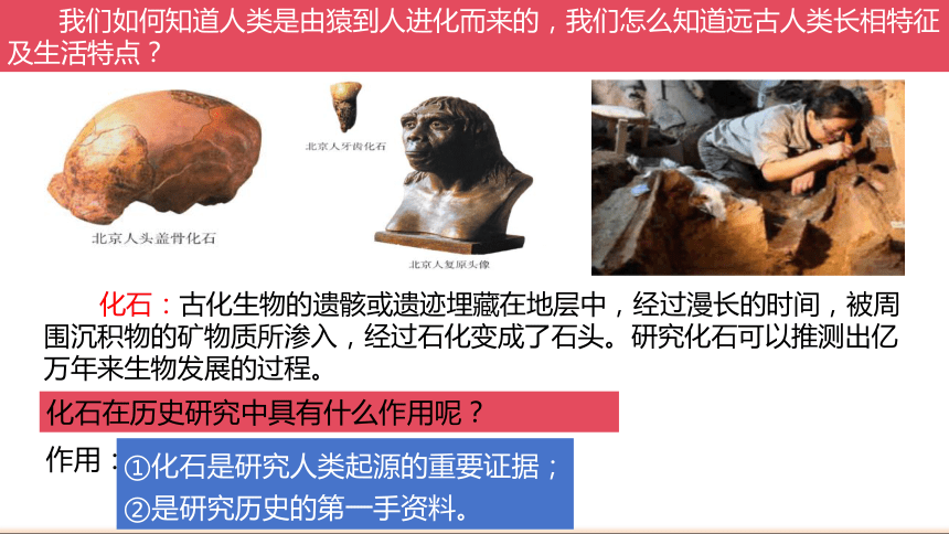 第1课中国境内早期人类代表——北京人 课件（27张PPT）