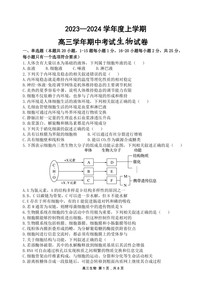 黑龙江省哈尔滨市2023~2024学年度上学期高三学年期中考试生物试卷（PDF版，含答案）