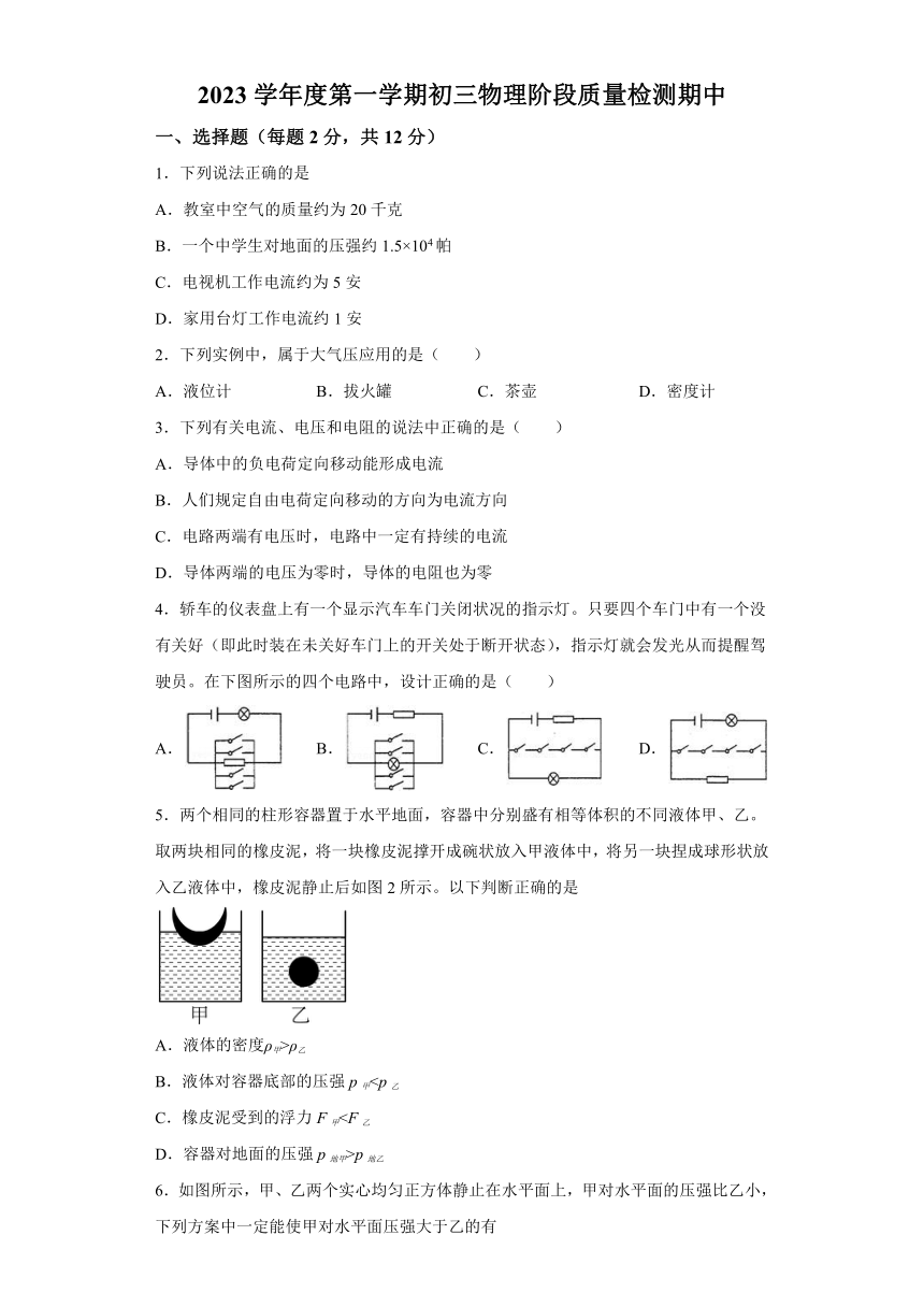 上海市杨浦区存志学校2023-2024学年九年级上学期期中考试物理试题（含解析）