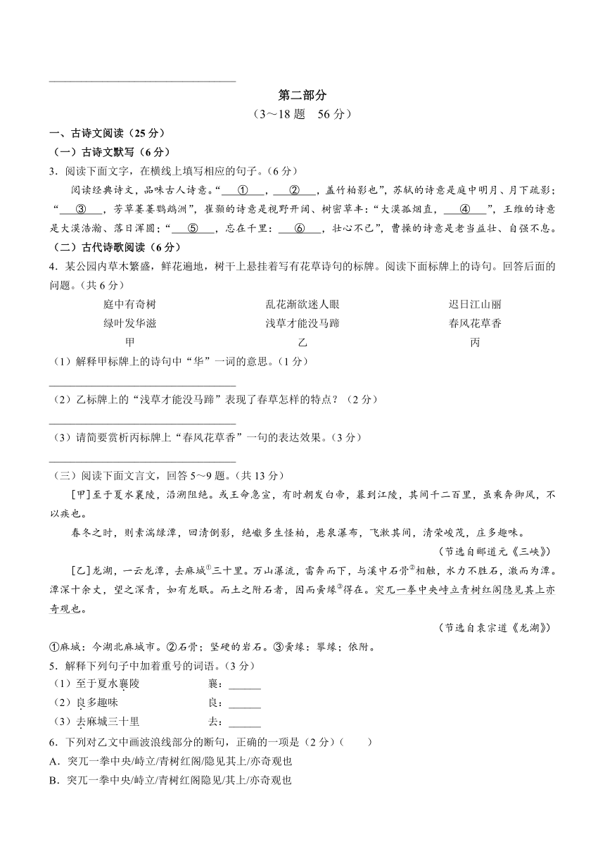 河北省高碑店市2023-2024学年八年级上学期期中语文试题（含答案）