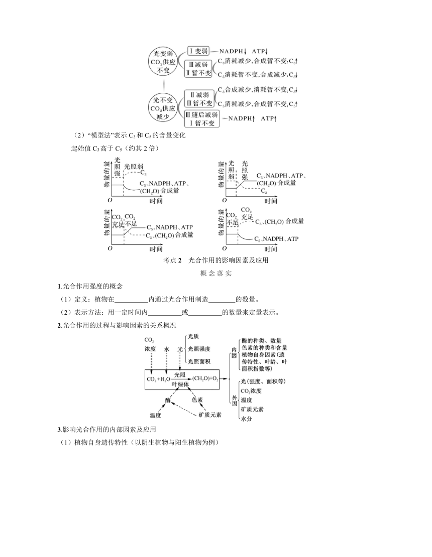 新人教生物一轮复习学案：第13讲　光合作用的原理及影响因素（含答案解析）