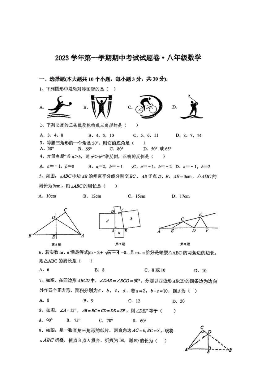 浙江省绍兴市新昌县 2023-2024学年八年级上学期11月期中数学试题（图片版 无答案）