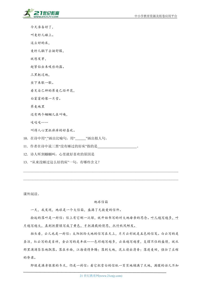 统编版语文六年级上册第6单元现代文阅读精选精练-（含答案）