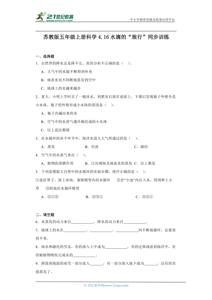 苏教版五年级上册科学4.16 水滴的“旅行” 同步训练（含答案）