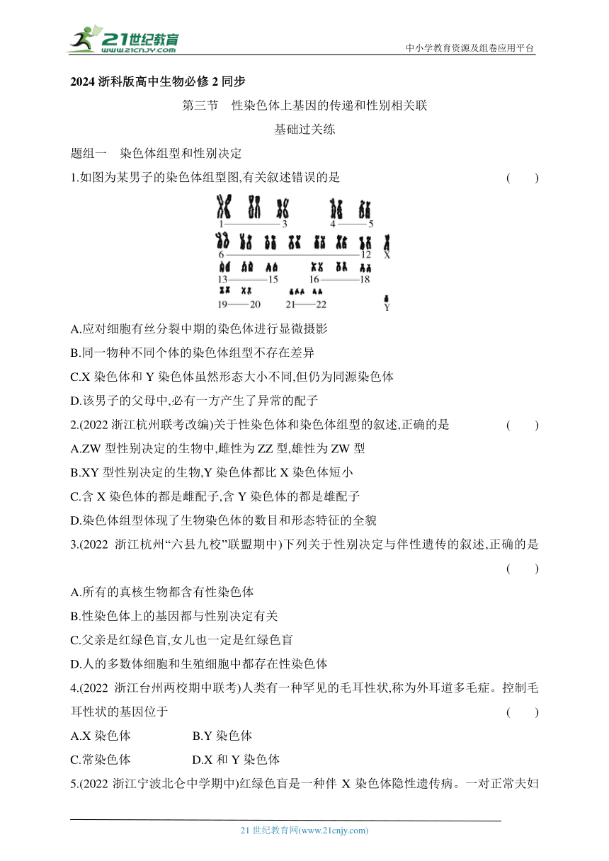 浙科版（2019）高中生物必修2同步练习题：2.3 性染色体上基因的传递和性别相关联（含解析）