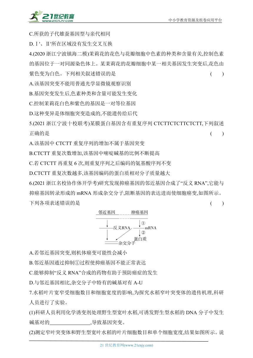 浙科版（2019）高中生物必修2同步练习题：4.1 基因突变可能引起性状改变（含解析）