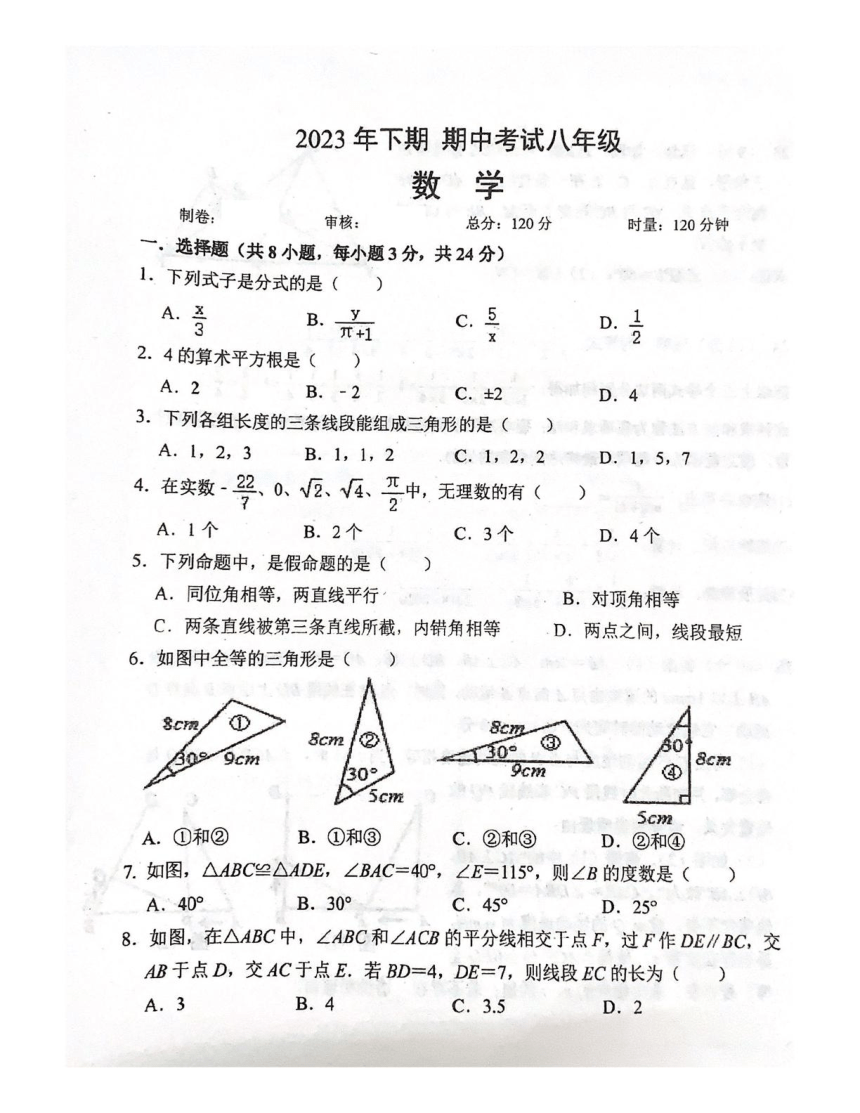 湖南省郴州市第五中学2023-2024学年八年级上学期期中考试数学试题(图片版无答案)