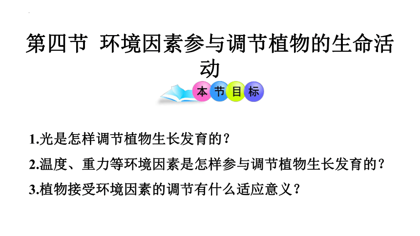 5.4 环境因素参与调节植物的生命活动-人教版2019选择性必修1（共20张PPT）