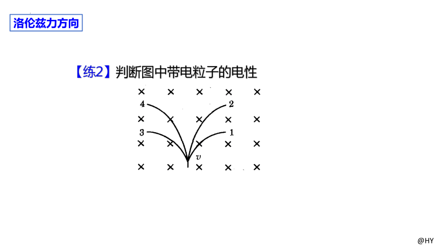 1.3洛伦兹力 课件(共15张PPT，含内嵌视频)2023-2024学年高二下学期物理粤教版(2019)选择性必修第二册