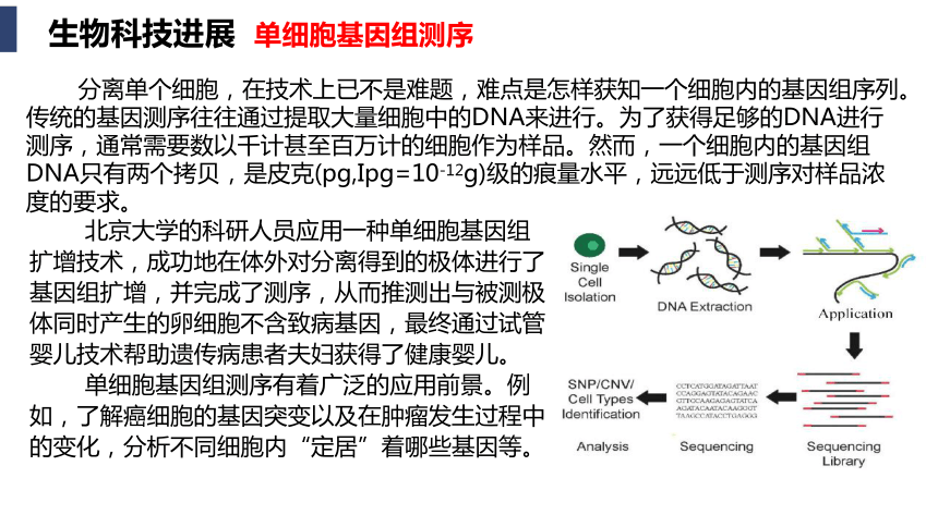 生物人教版（2019）必修2 3.4基因是通常是有遗传效应的DNA片段 课件（共22张ppt）