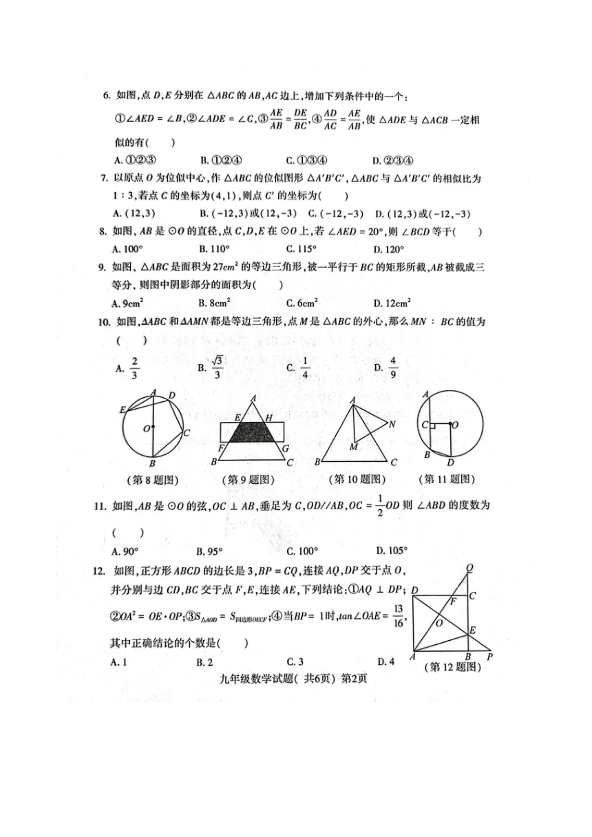 山东省聊城市东昌府区2023-2024学年第一学期期中九年级数学试题(图片版含答案)