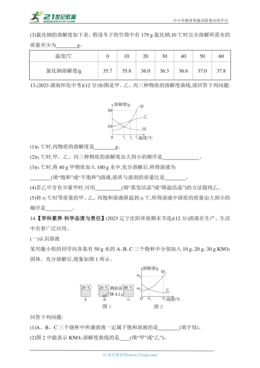 2024沪教版化学九年级下学期课时练--第6章 素养综合检测