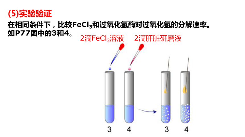 5.1酶的特性课件(共45张PPT)2023-2024学年高一上学期生物人教版（2019）必修1