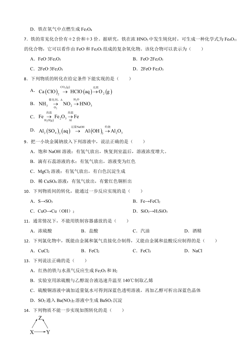 3.1 铁的多样性 同步训练（含解析）2023-2024学年高一上学期化学鲁科版（2019）必修第一册