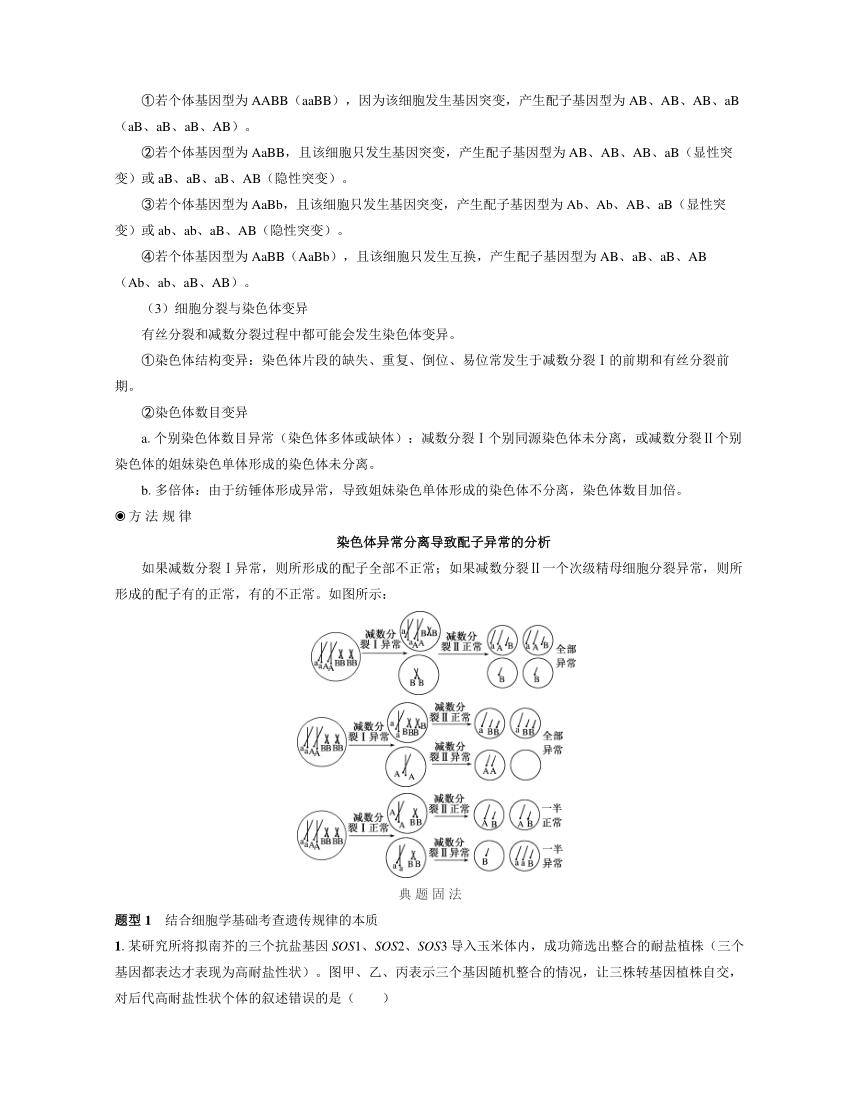 新人教生物一轮复习高频考点解析训练：6  聚焦细胞分裂、遗传、变异三者的联系（含解析）