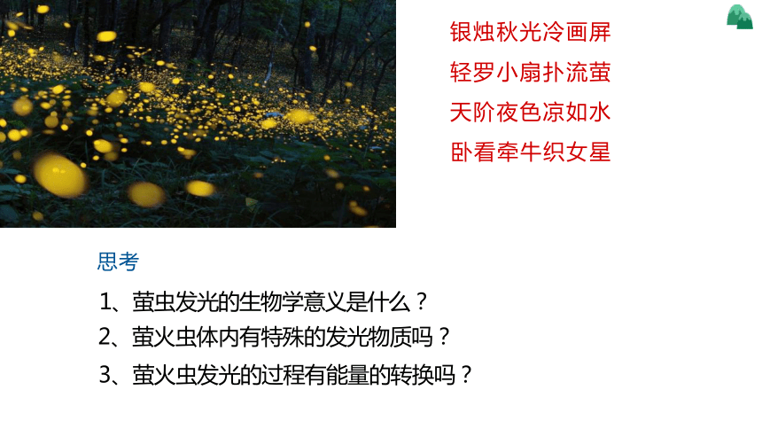 5.2 细胞的能量“货币”ATP高一生物学 课件（人教版2019必修1）（共17张PPT）