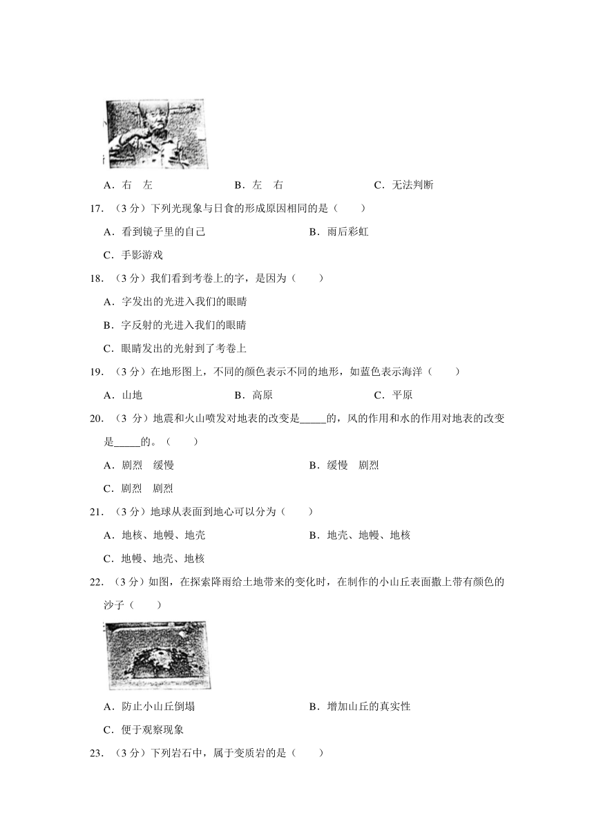 江苏省徐州市沛县2023-2024学年五年级上学期期中科学试卷（含解析）