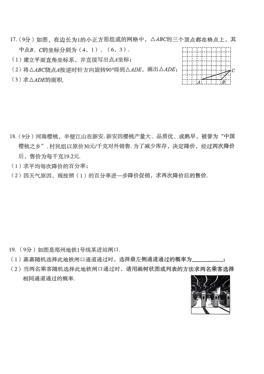 河南省新乡市2023-2024学年九年级上学期期中质量检测数学试卷（图片版，无答案）