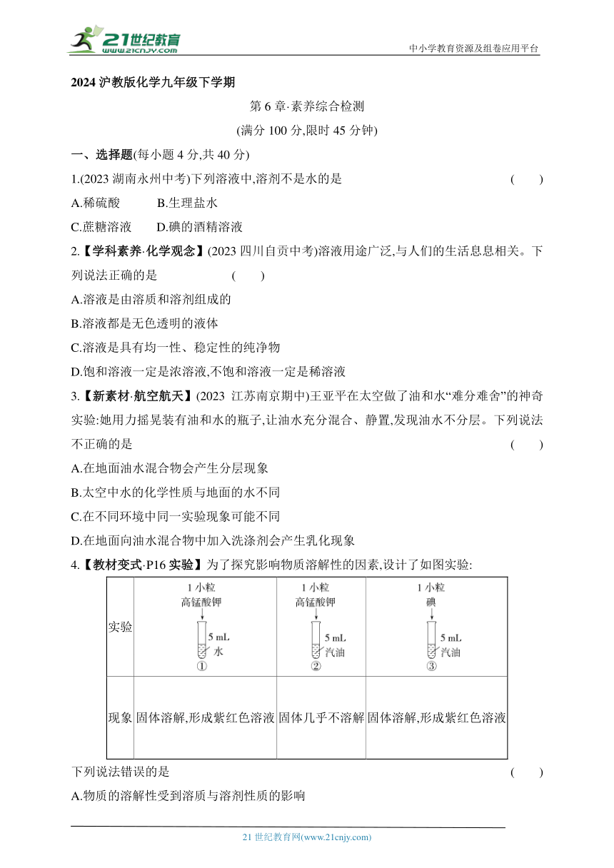 2024沪教版化学九年级下学期课时练--第6章 素养综合检测