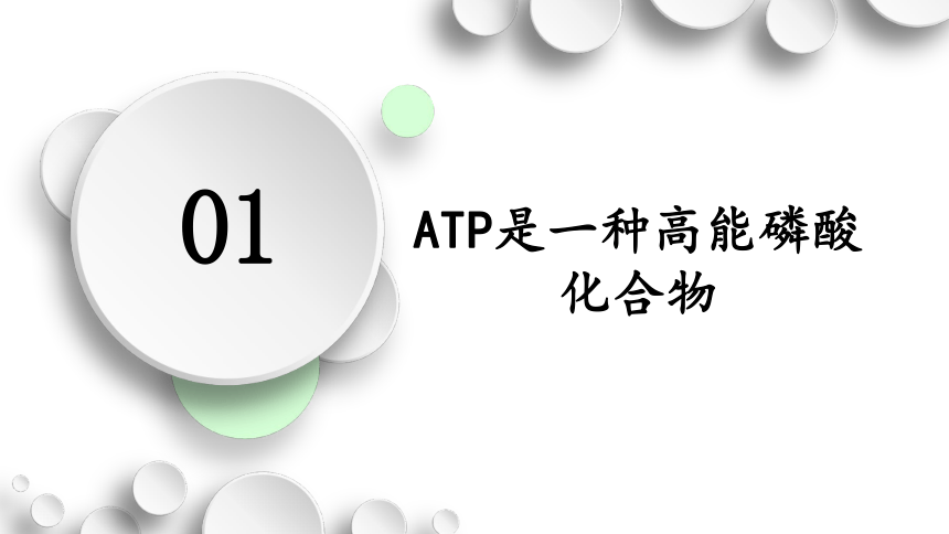 5.2 细胞的能货币ATP课件(共32张PPT)-教版2019必修1