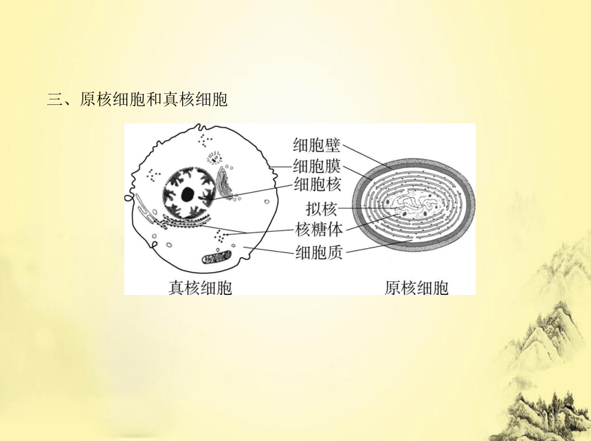 【备考2024】高考生物总复习知识讲解课件：专题2　细胞的结构与功能(共38张PPT)