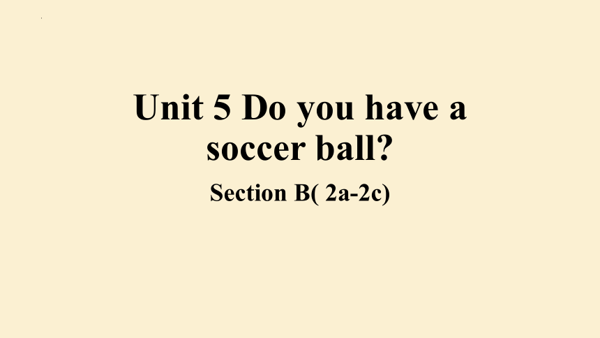 Unit 5 Do You Have A Soccer Ball? SectionB (2a-2c)课件 (共25张PPT)-21世纪教育网