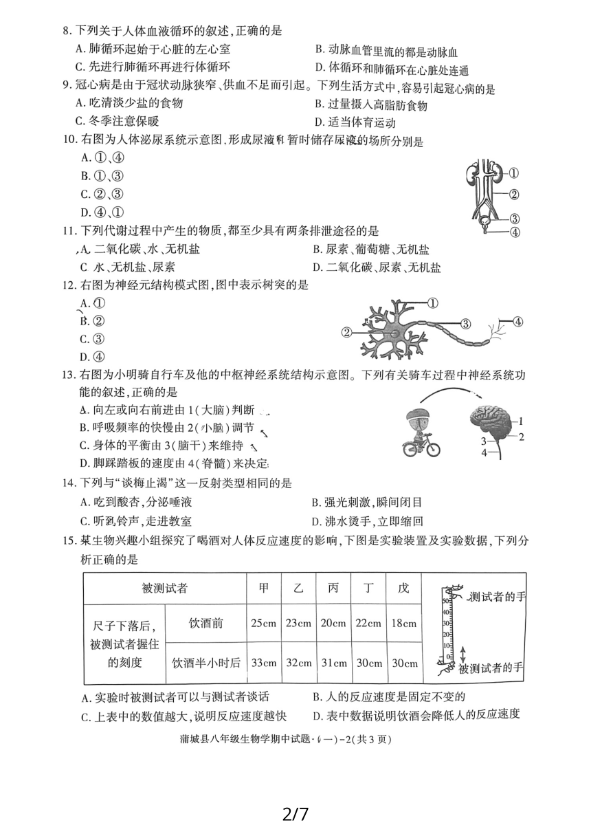 陕西省渭南市蒲城县 2023-2024学年八年级上学期期中质量检测生物试题（PDF版 含答案）