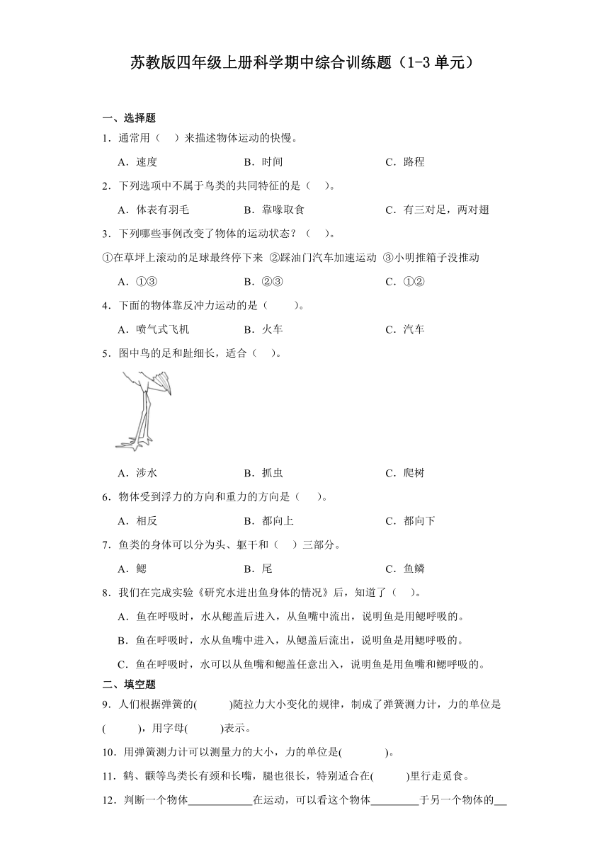 苏教版四年级上册科学期中综合训练题（1-3单元）