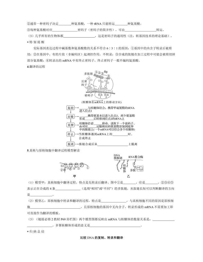 新人教生物一轮复习学案：第23讲　基因的表达（含答案解析）