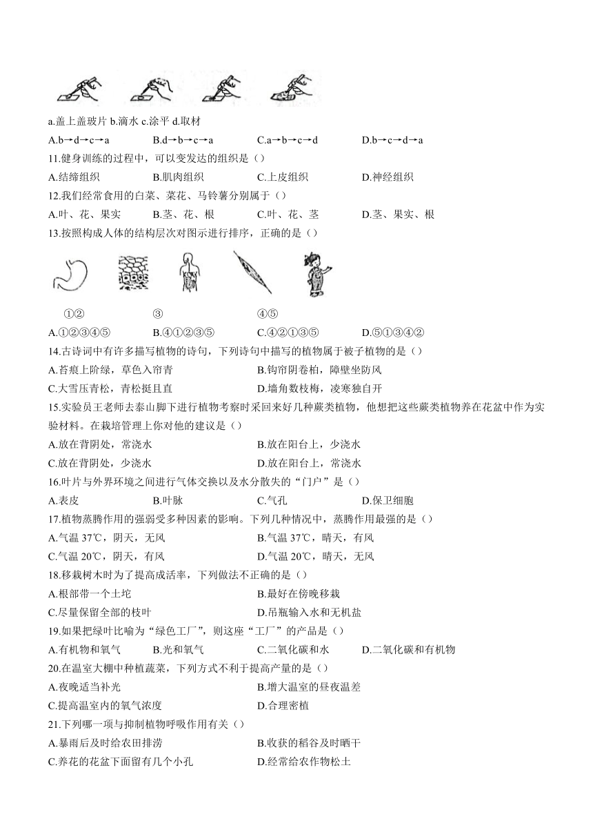 山东省济宁市兖州区朝阳实验学校2023-2024学年七年级上学期期中生物试题（含答案）