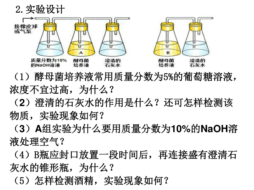 5.3细胞呼吸的原理和应用课件-2023-2024学年高一上学期生物人教版（2019）必修1（共19张PPT）