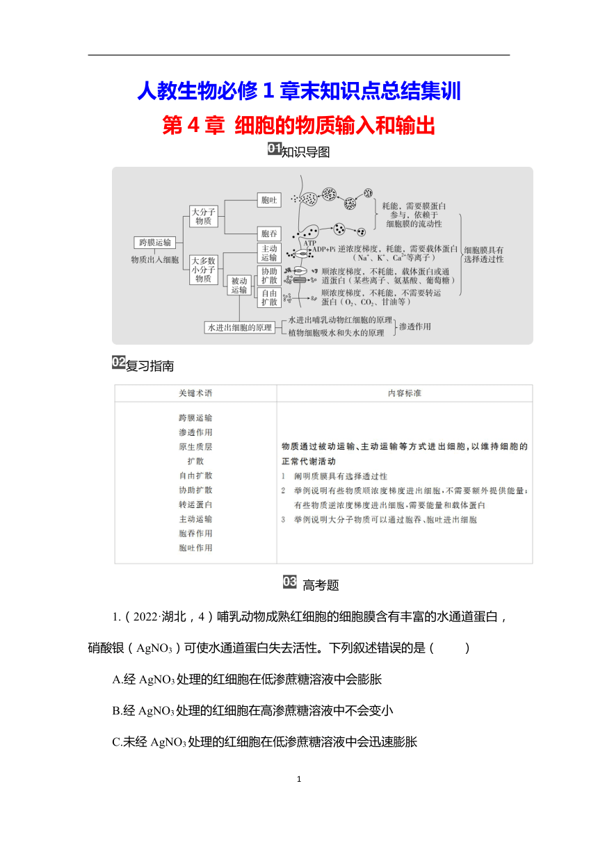 人教生物必修1章末知识点总结集训：第4章 细胞的物质输入和输出（含解析）