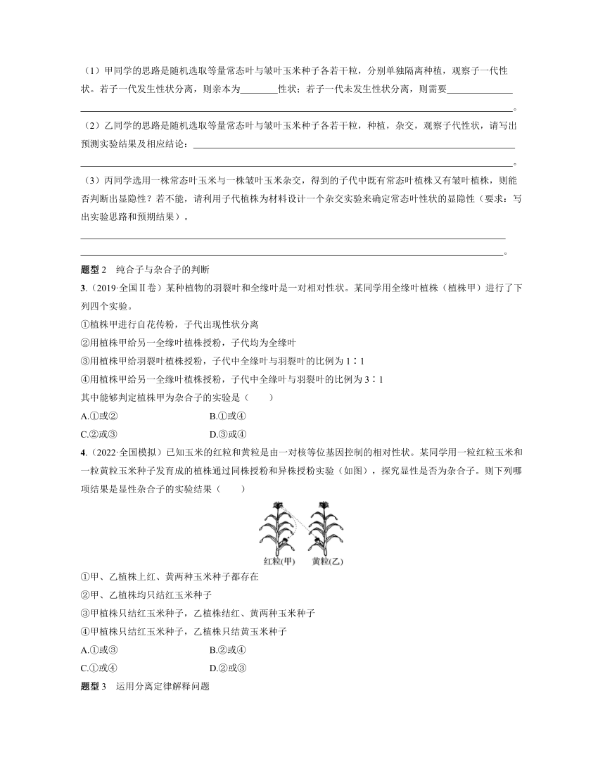 新人教生物一轮复习高频考点解析训练：3  分离定律的相关规律、重点题型（含解析）