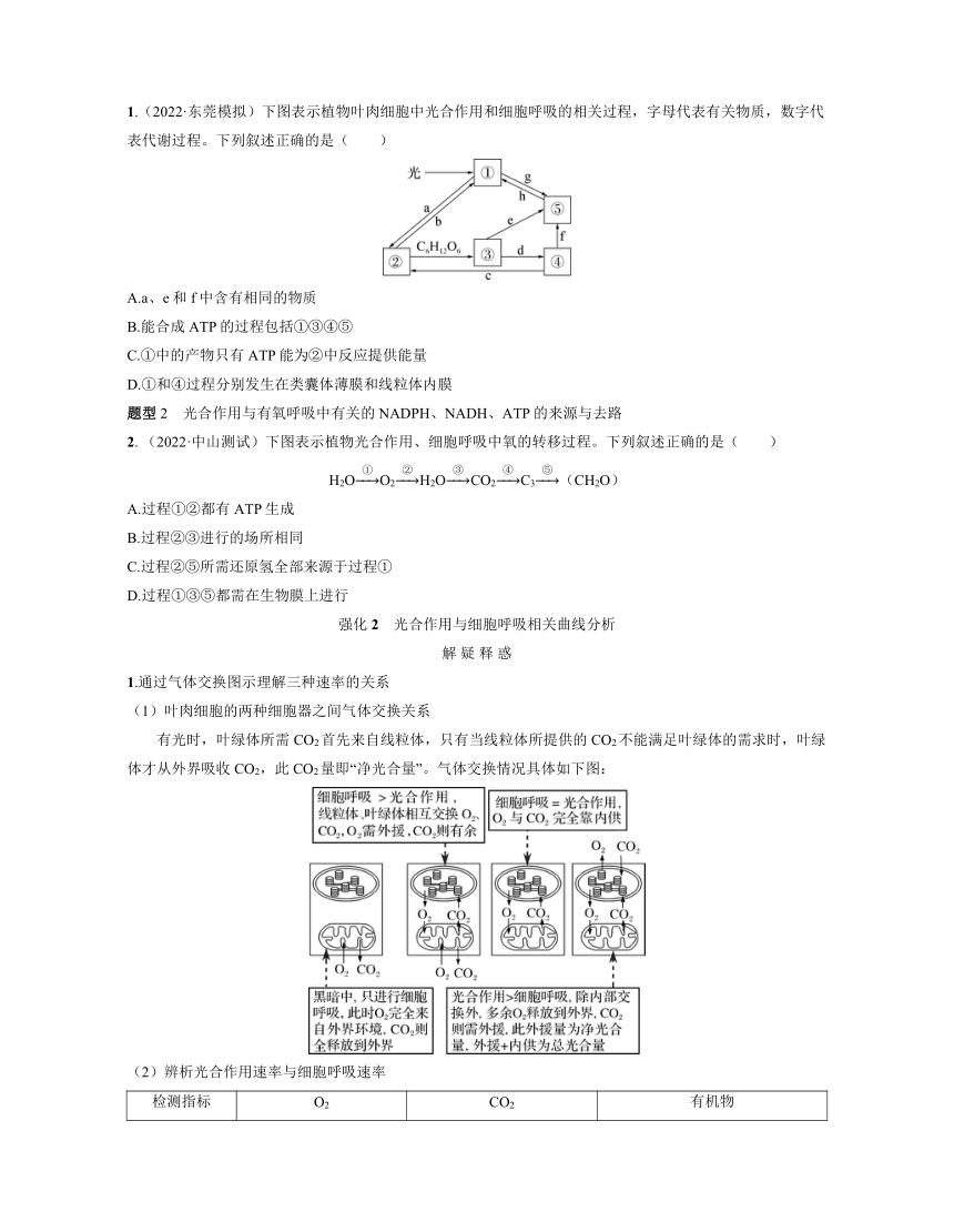 新人教生物一轮复习高频考点解析训练：1  光合作用与细胞呼吸的综合分析（含解析）