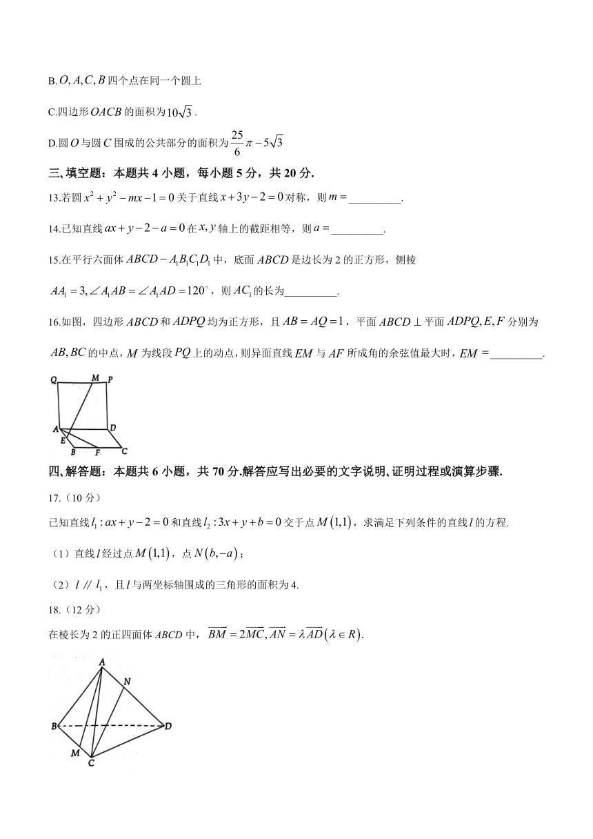 河南省洛阳市2023-2024学年高二上学期11月期中考试数学试题（含答案）