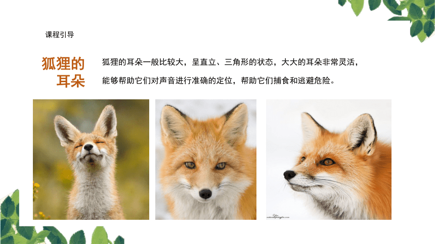 美术社团课程《狐狸和葡萄园》小学延时服务课件(共23张PPT)