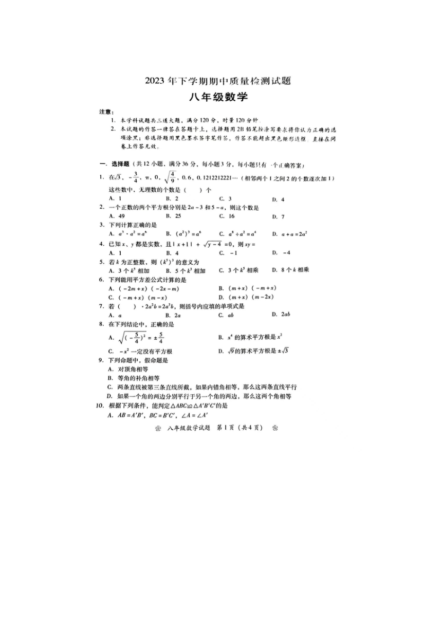 湖南省衡阳市衡南县2023-2024学年八年级上学期11月期中数学试题（图片版，含答案）