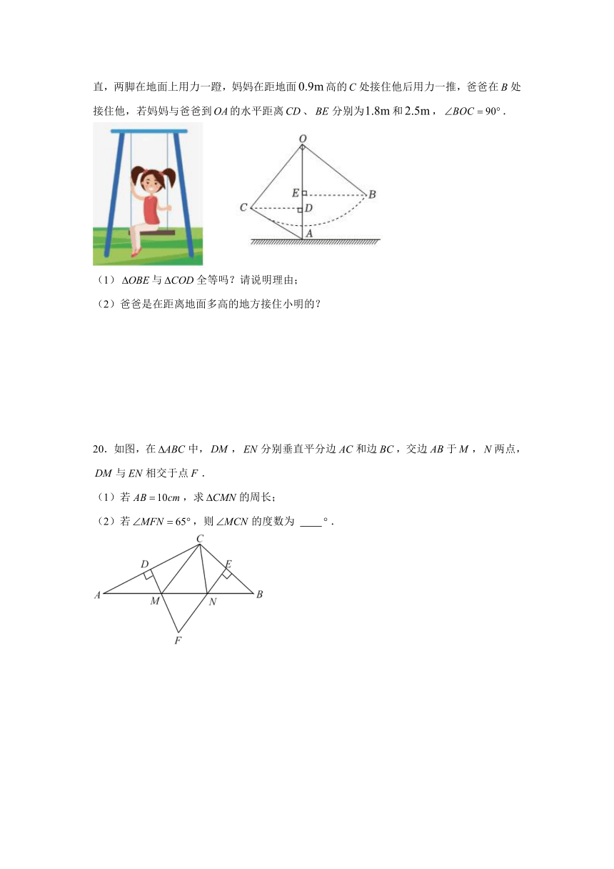 河南省安阳市五中教育集团2023--2024学年八年级数学上册期中试卷（PDF版，含解析）