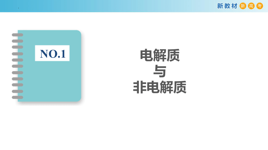 1.2.1 电解质的电离（课件）(共33张PPT)高一化学（人教版2019必修第一册）